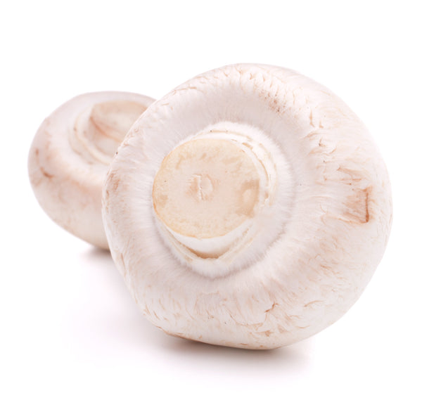 Agaricus Bisporus