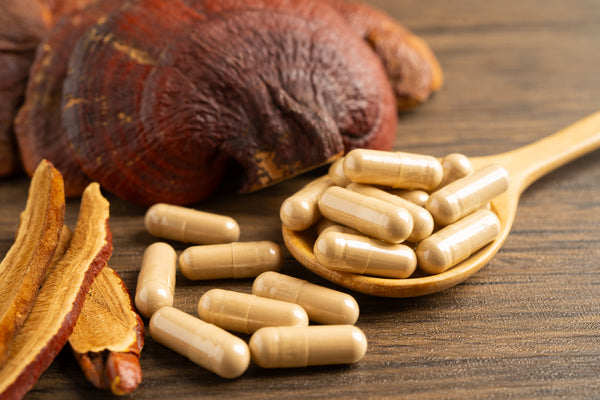 Vitalpilze