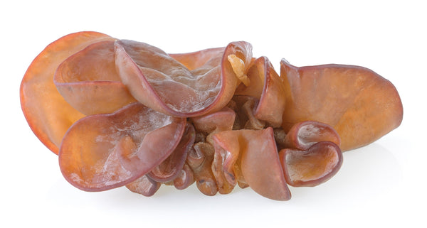 Auricularia