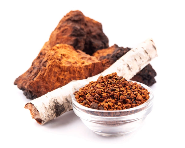 Chaga
