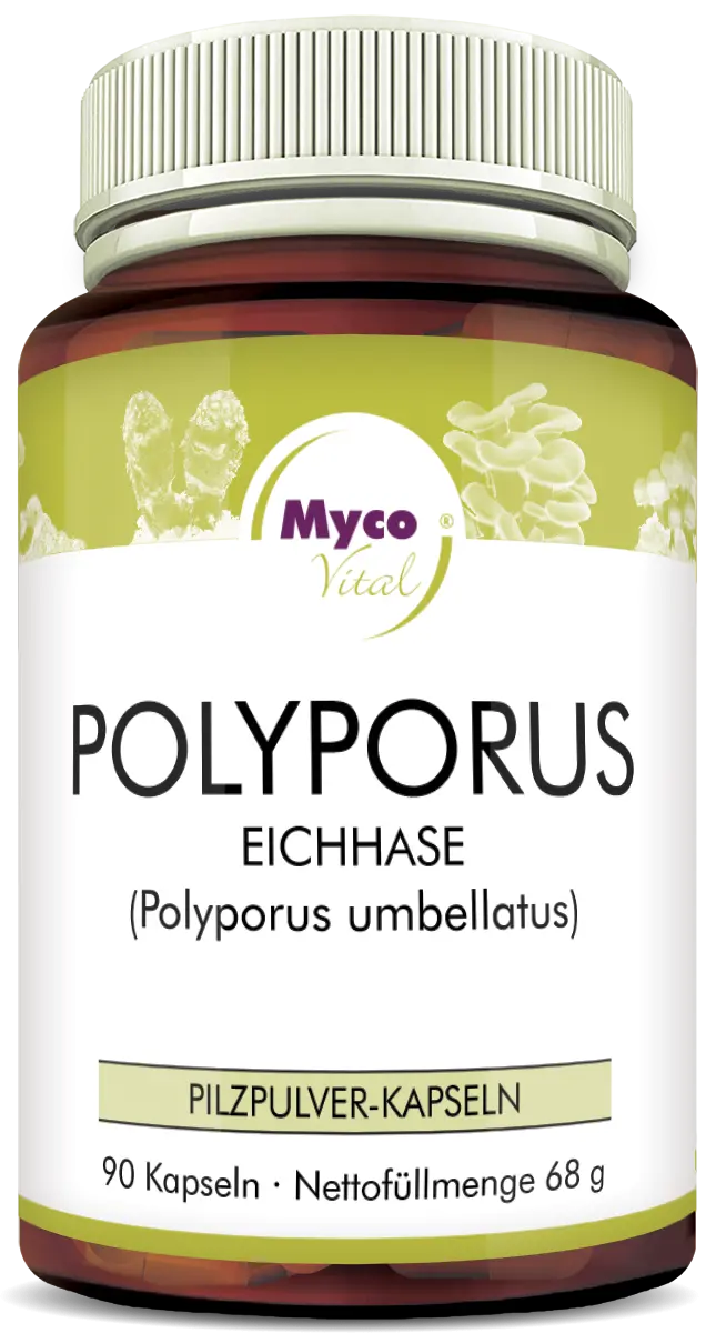 MycoVital Polyporus Pilzpulver-Kapseln