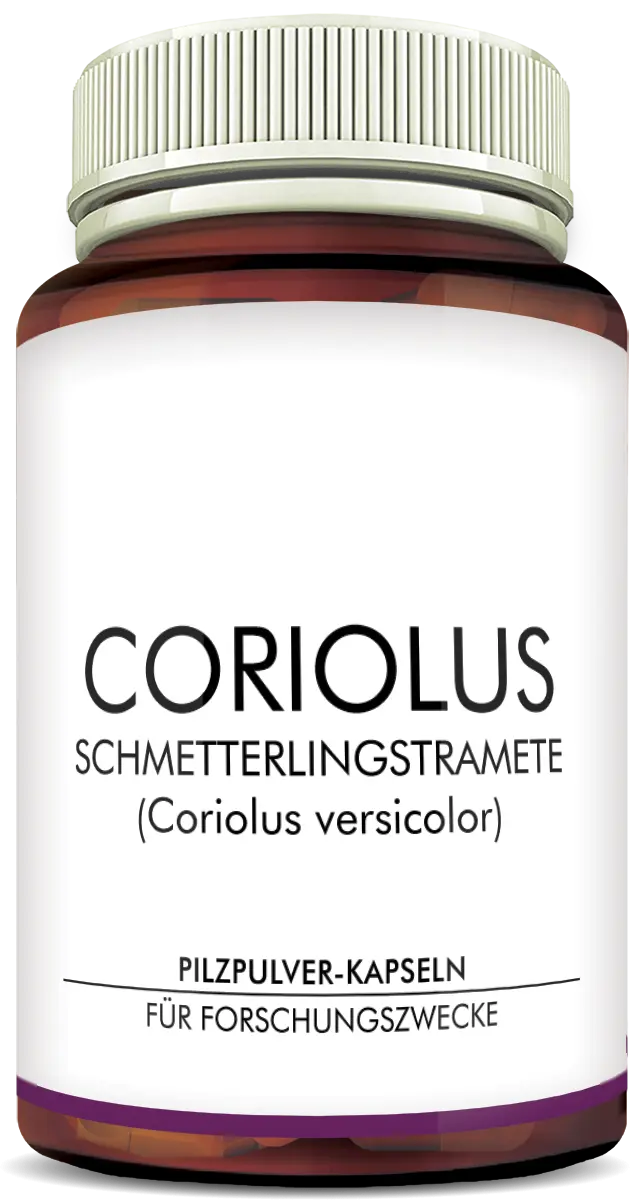 Coriolus Pilzpulver-Kapseln