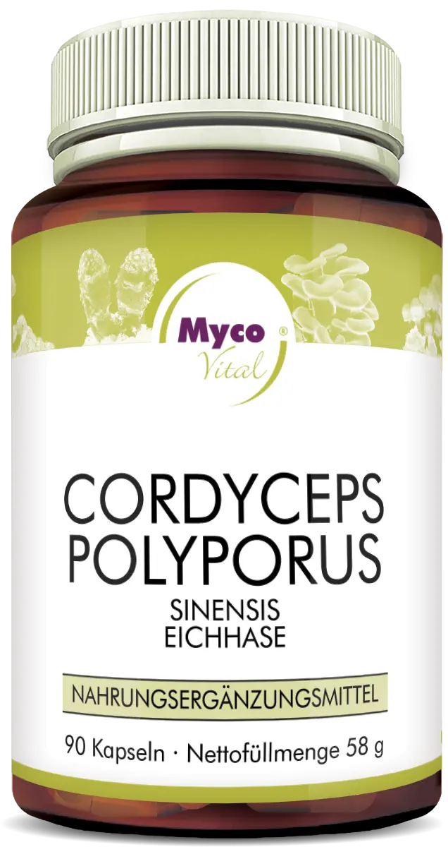 MycoVital Cordyceps-Polyporus Pilzpulver-Kapseln