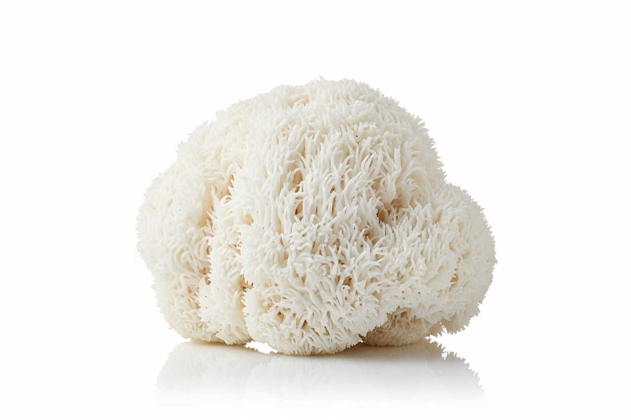 Hericium