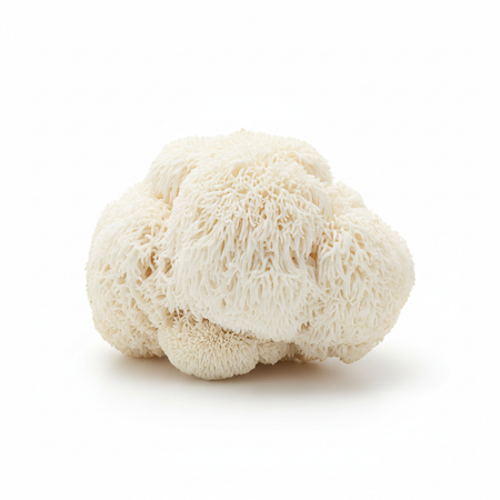 Hericium